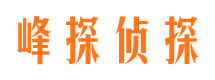 滨江市侦探调查公司